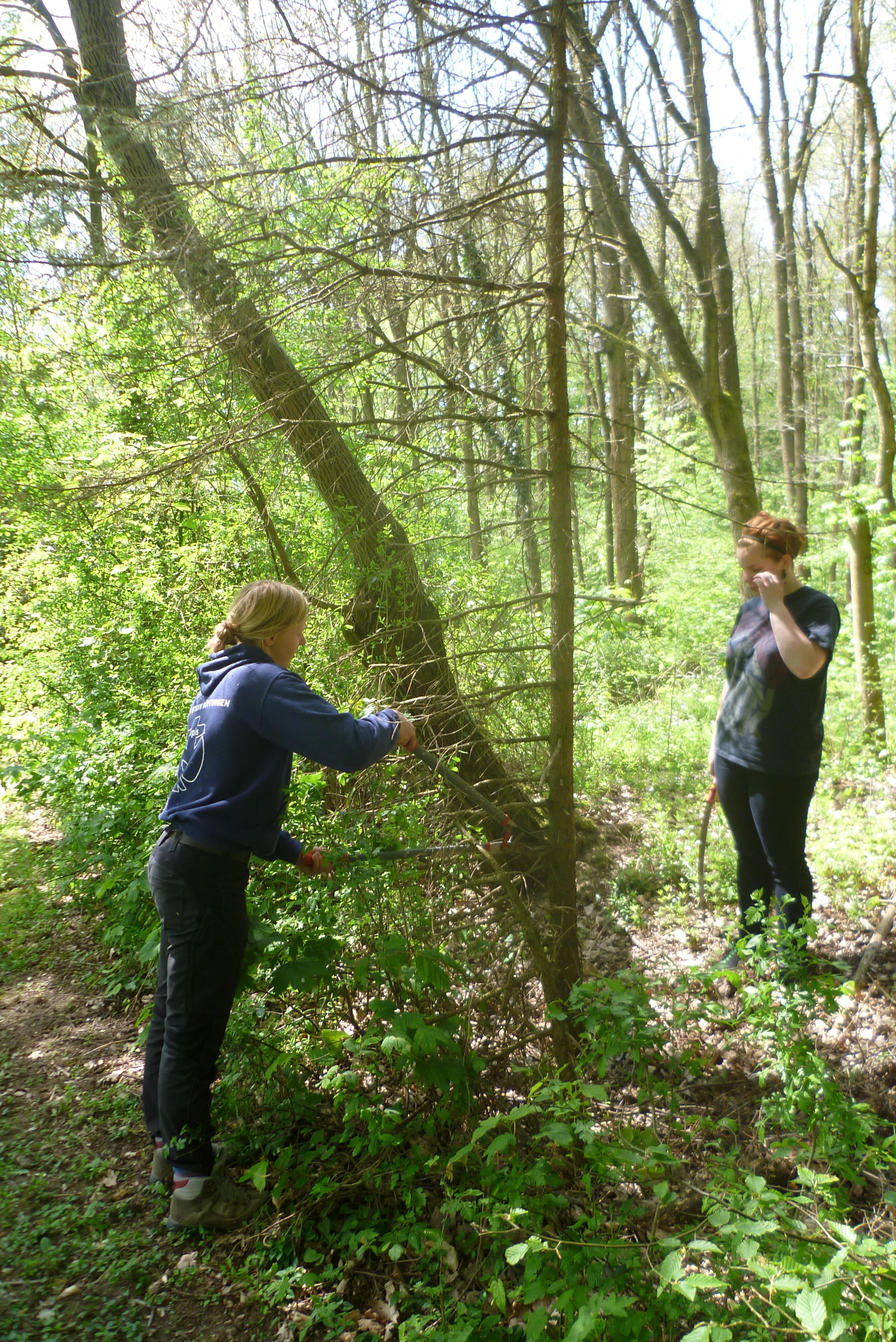 Wochenendfahrt der Jungpfadfinder nach Holzerode
